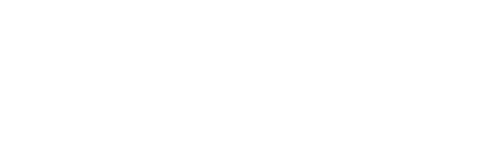 Citizar